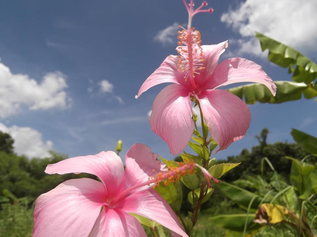 Yoisama Sunrise Beach House Ishigaki  Buitenkant foto