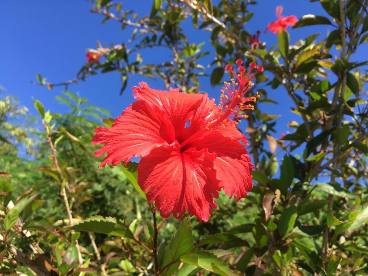 Yoisama Sunrise Beach House Ishigaki  Buitenkant foto